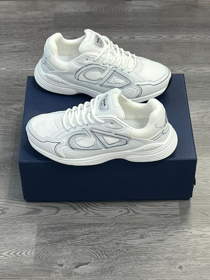 DIOR B30