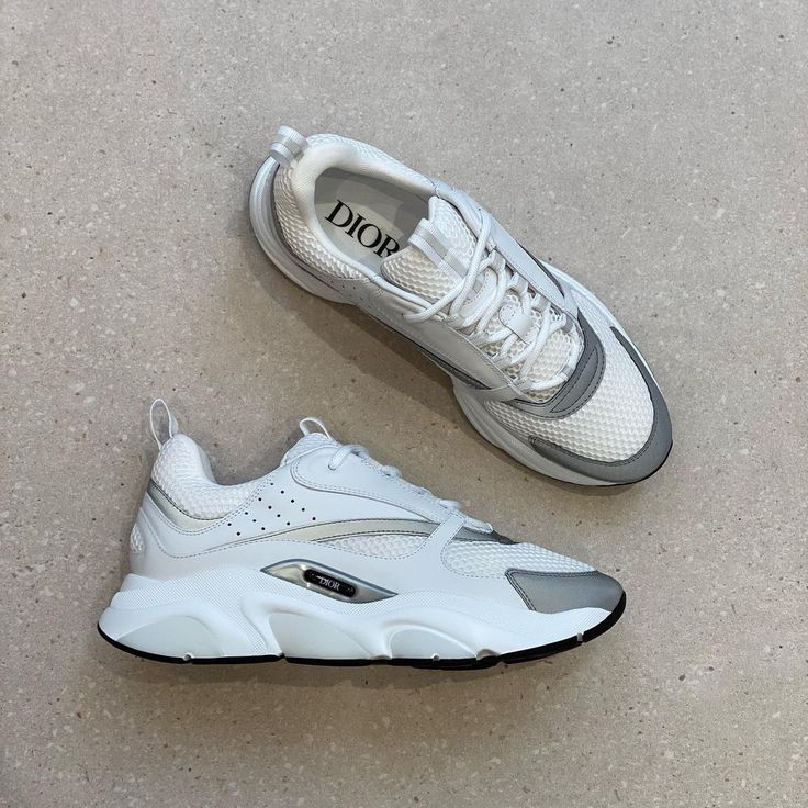 DIOR B22